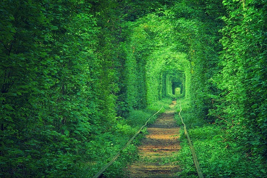 Tunnel dell amore Klevan Ucrania