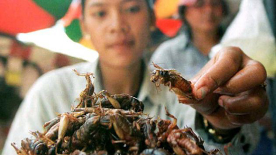 Antojeria la Popular cucina con insetti