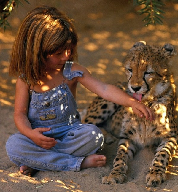 bambina gioca con leone