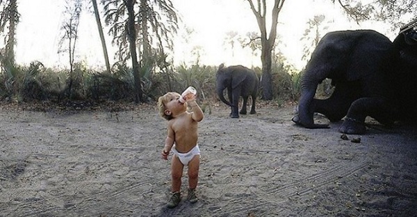bambina latte elefante