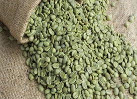 Caffè verde la bevanda che fa dimagrire naturalmente