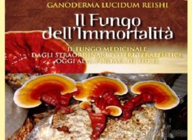 Fungo Reishi o Ganoderma lucidum il fungo medicinale dell’immortalità